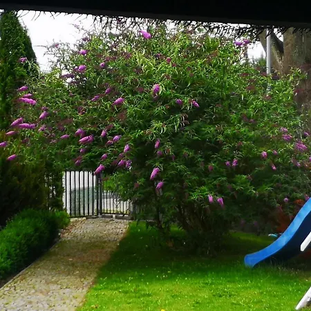 דירה Lumax גריפיצה