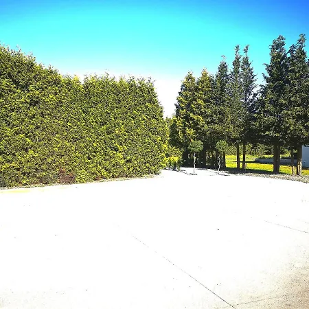 Lumax * 格雷菲采