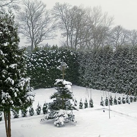 Lumax דירה גריפיצה