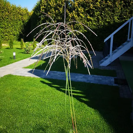 Apartment Lumax Gryfice