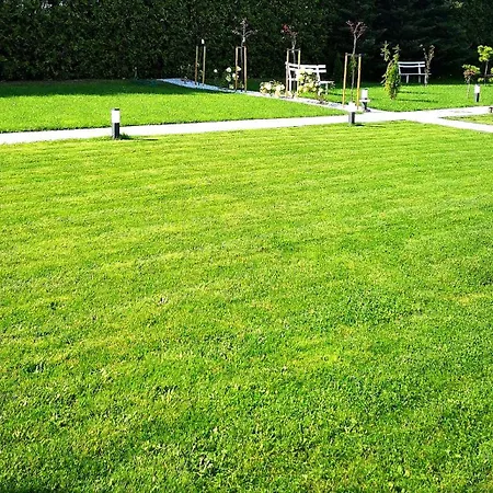 Lumax דירה גריפיצה