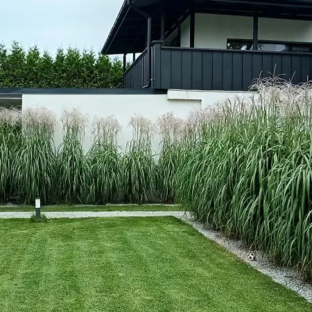 דירה Lumax גריפיצה