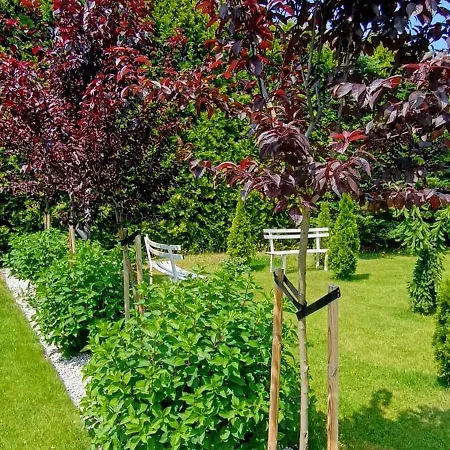 Lumax דירה גריפיצה