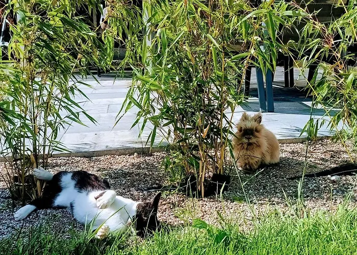 Lumax Apartamento Gryfice